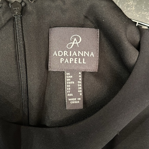 Adrianna Papell Colorblocked Overlay Jumpsuit - Picture 12 of 13